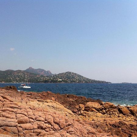 Appt Confort 3 Pieces Avec Terrasse Et Piscine A Saint-Raphael - Fr-1-226A-124 Экстерьер фото